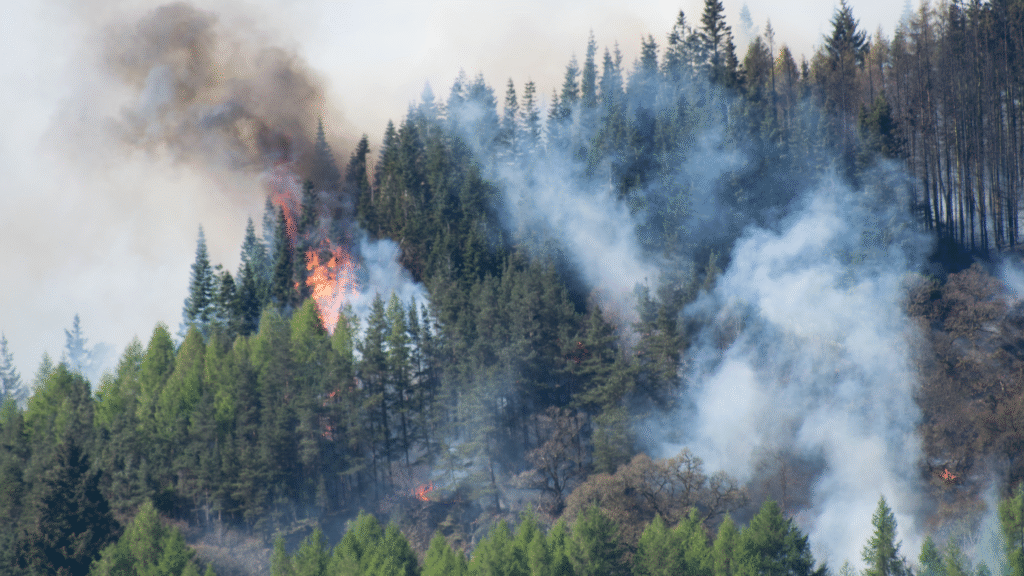 Görsel temsilidir, olay yerinin görüntüsü değildir.
